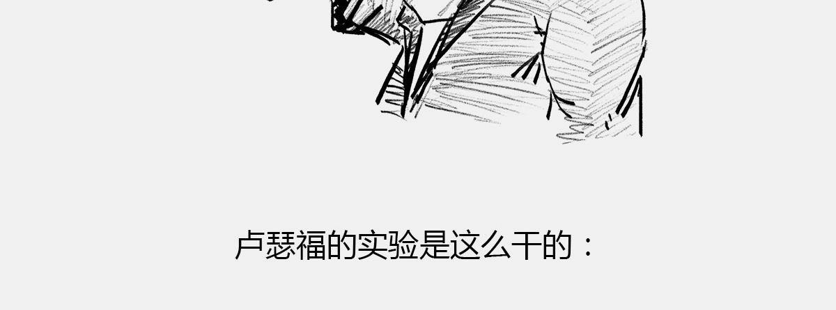 〓一个纯爷们，一个女神，狼叔+(1/2)-第45话