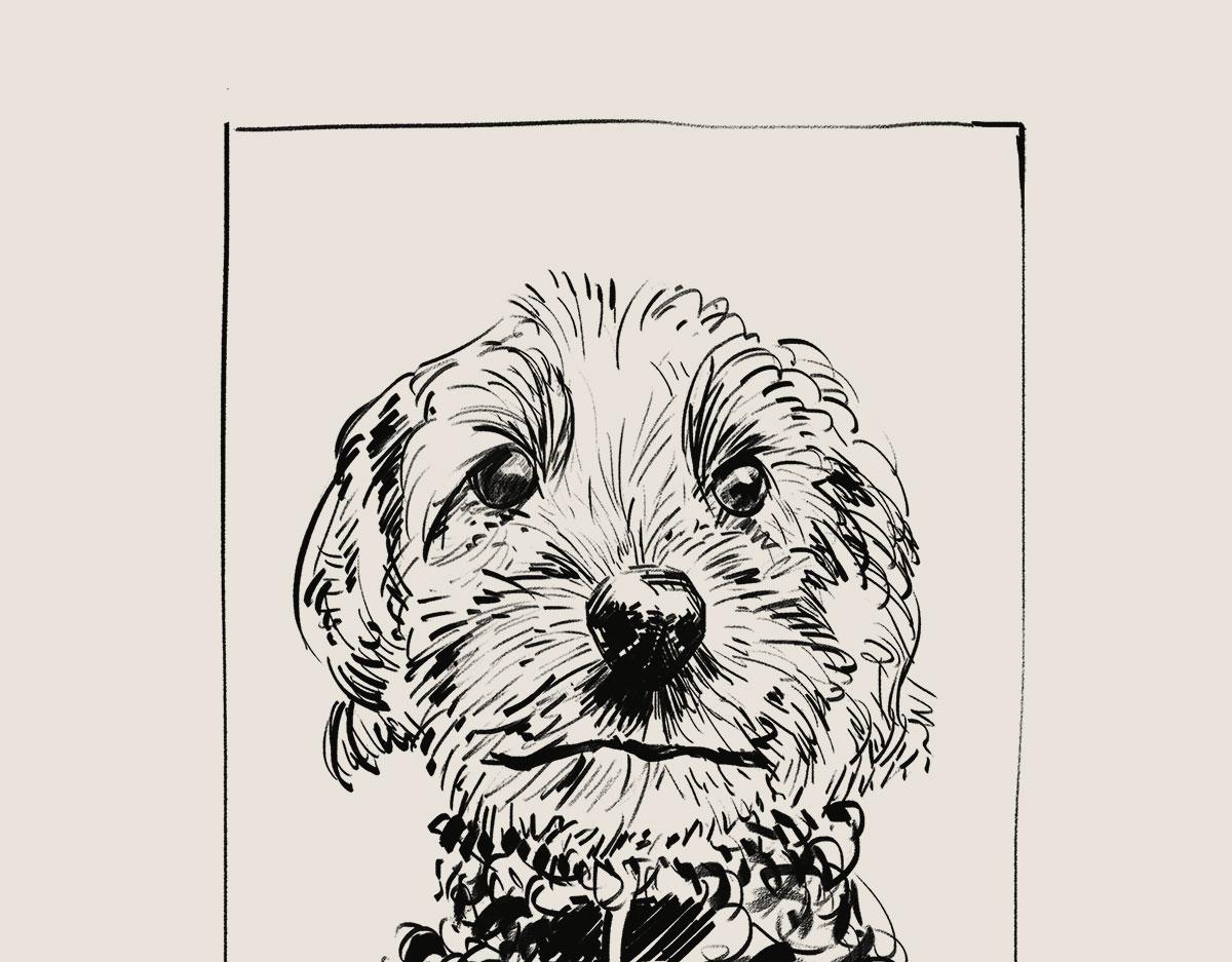 〓有只卖狗的~〓(1/2)-第75话