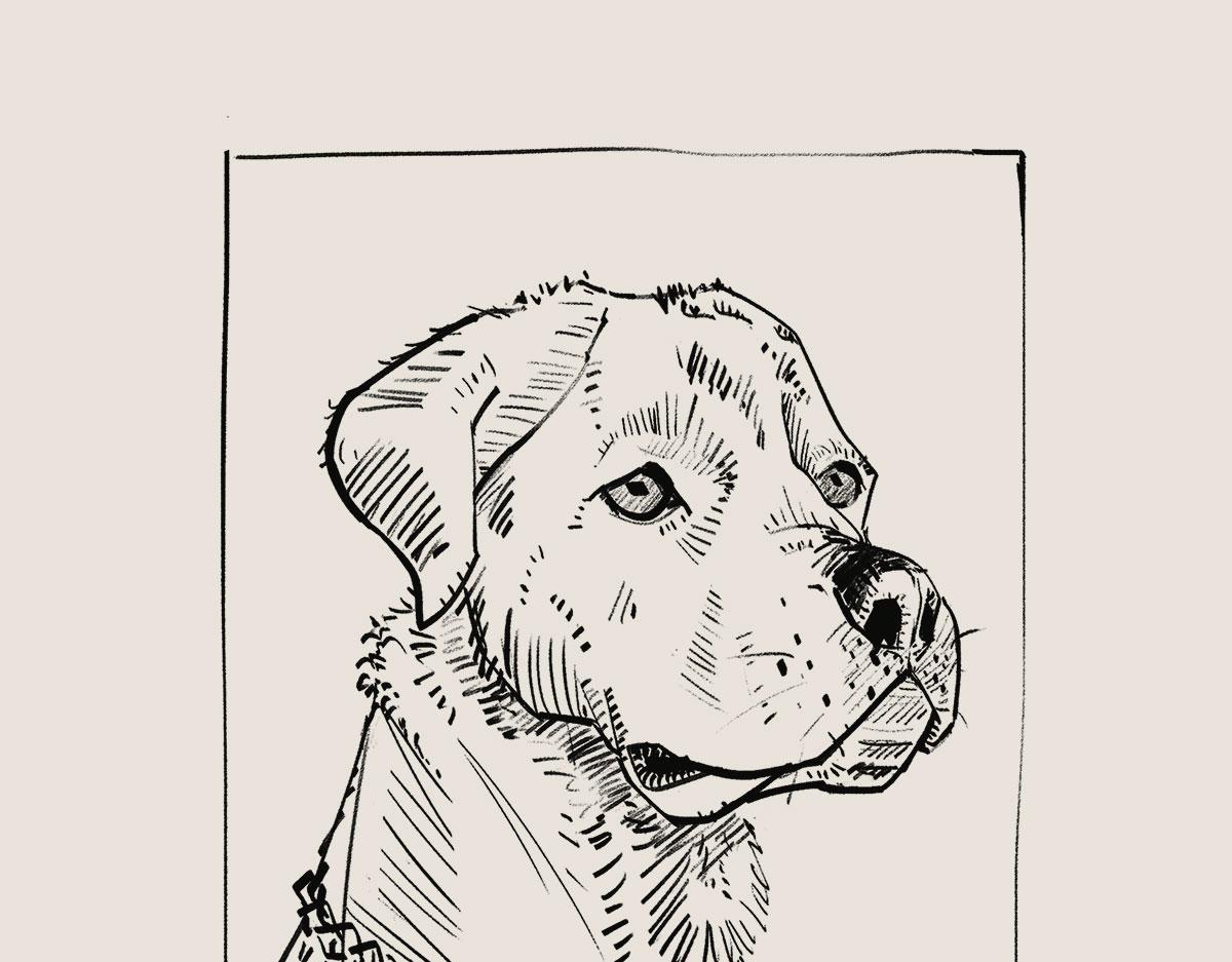 〓有只卖狗的~〓(1/2)-第75话