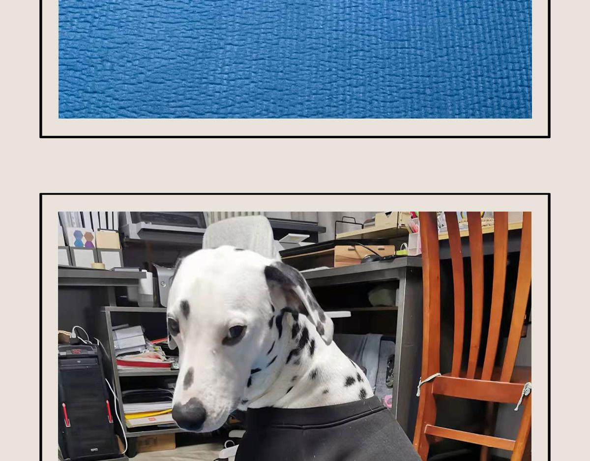 〓有只卖狗的~〓(1/2)-第75话