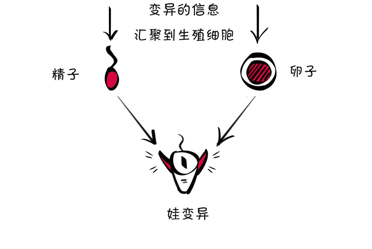 1小時看懂相對論 - 〓兒子不像爸，有沒有鄰居來幫忙？〓(1/4) - 6