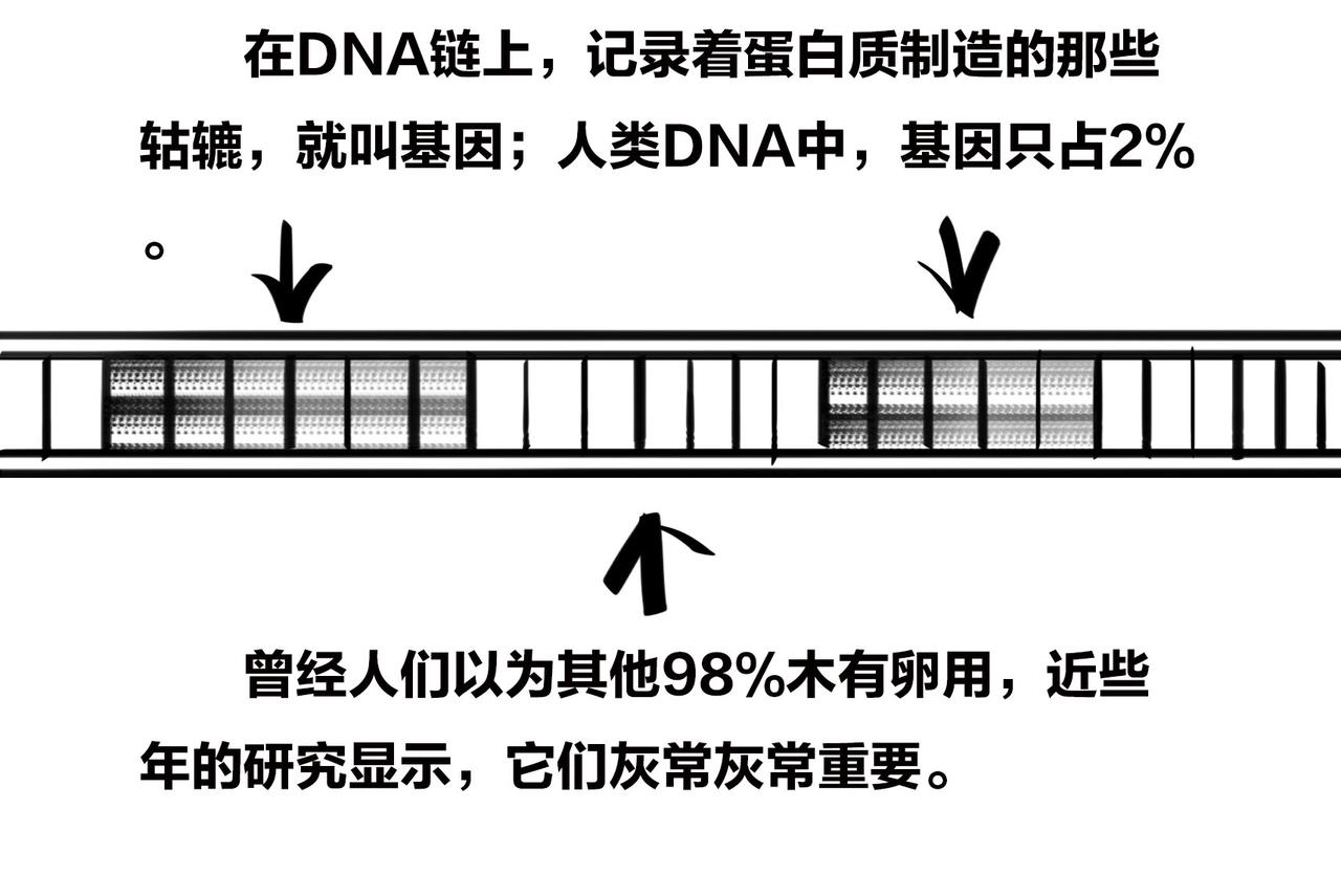 1小時看懂相對論 - 〓兒子不像爸，有沒有鄰居來幫忙？〓(2/4) - 8