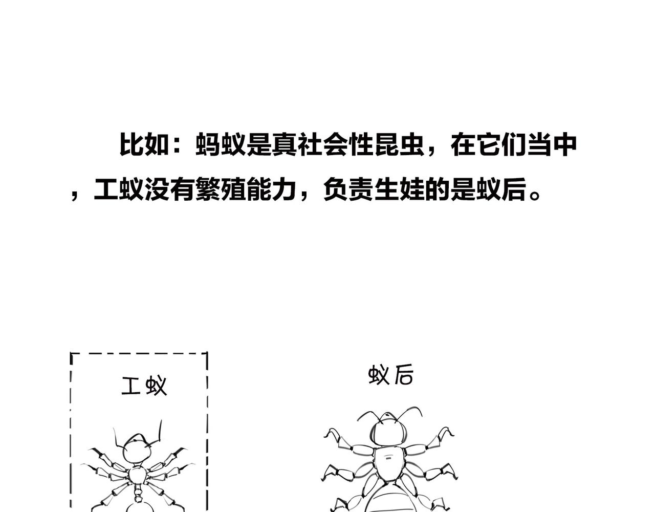 〓生物选秀大会，评委竟然会..〓(1/2)-第95话