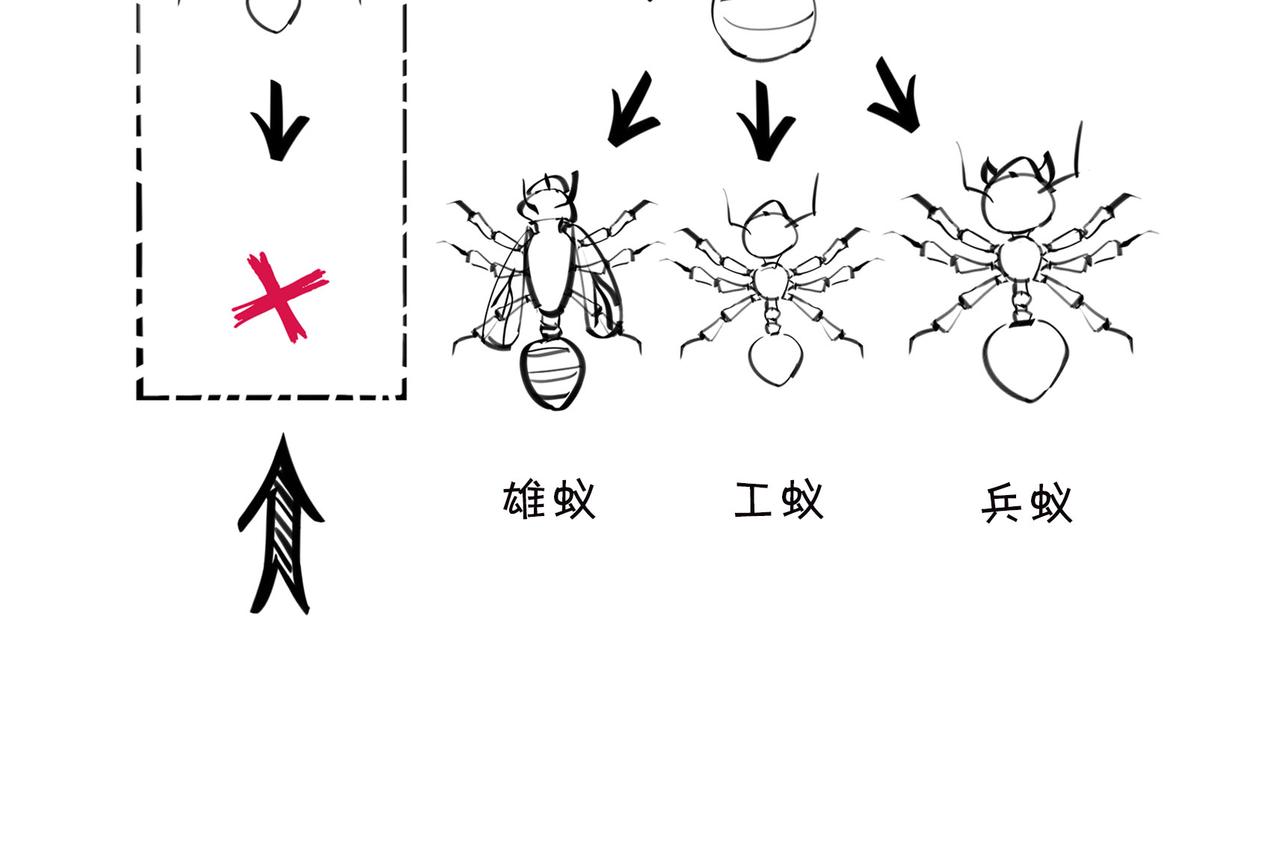 〓生物选秀大会，评委竟然会..〓32