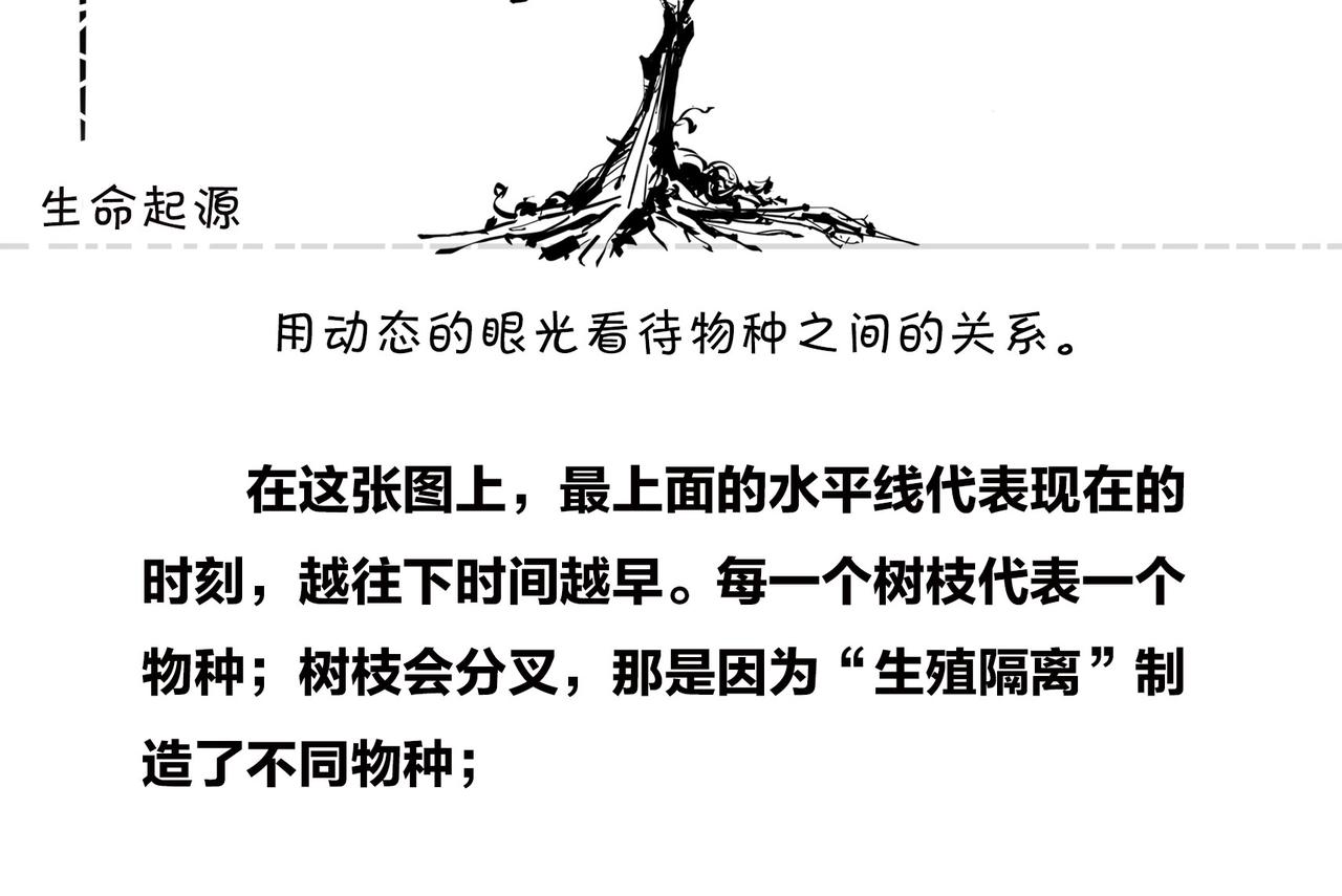 〓进化的套路&mdash;&mdash;生命之树〓(1/2)-第97话