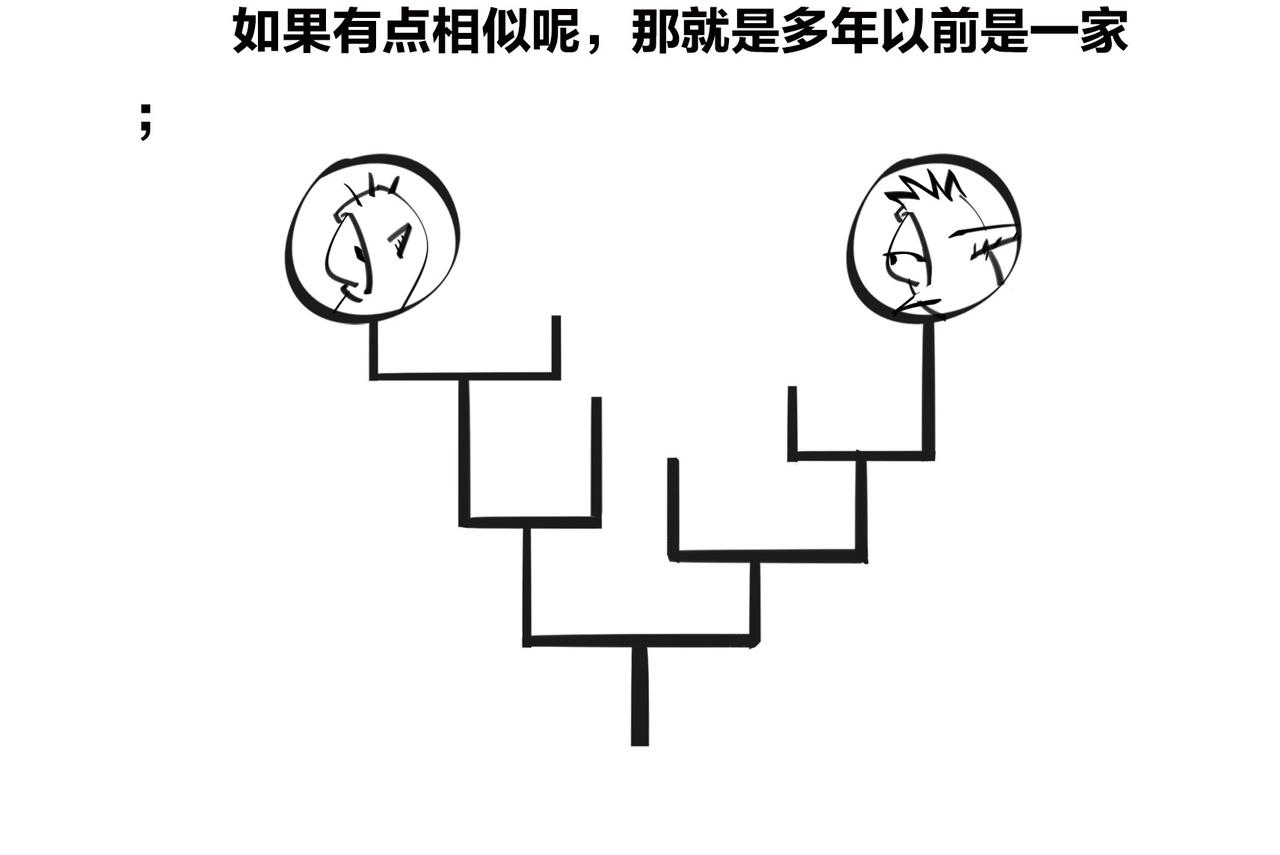 1小时看懂相对论 - 〓进化的套路——生命之树〓(1/2) - 7