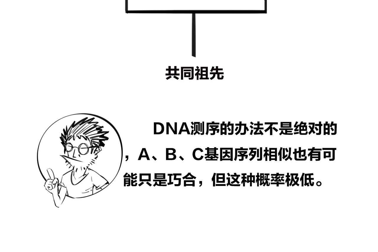 〓进化的套路&mdash;&mdash;生命之树〓(1/2)-第97话