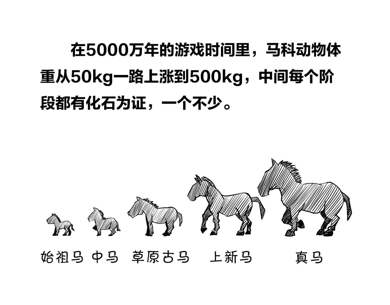 〓生物进化是快是慢？渐变VS突变〓(1/2)-第99话