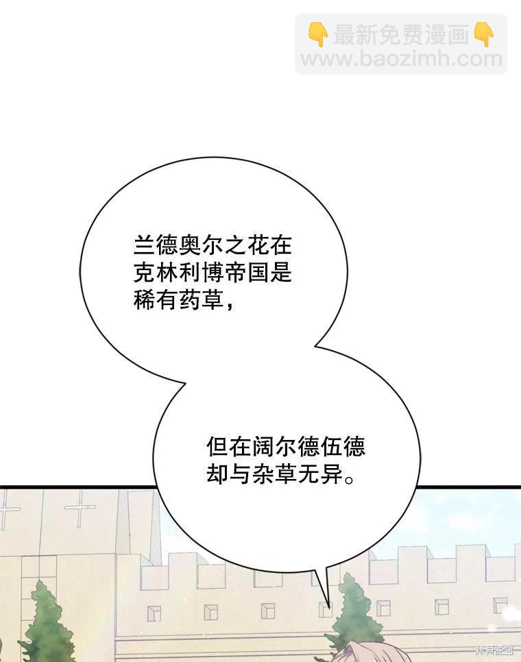 8級魔法師的迴歸 - 第81話（完結）(2/4) - 6