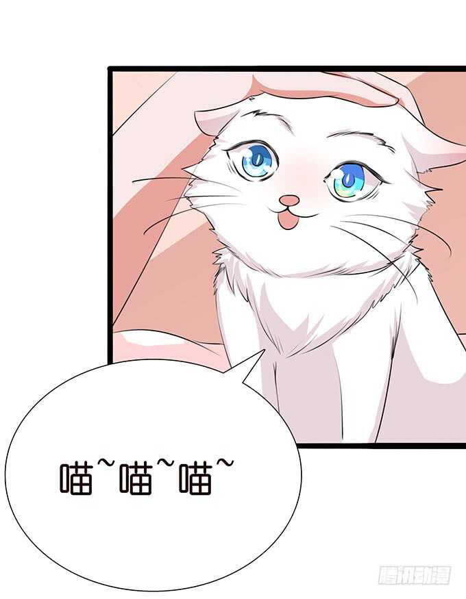 七夕特别篇(1/3)-第105话