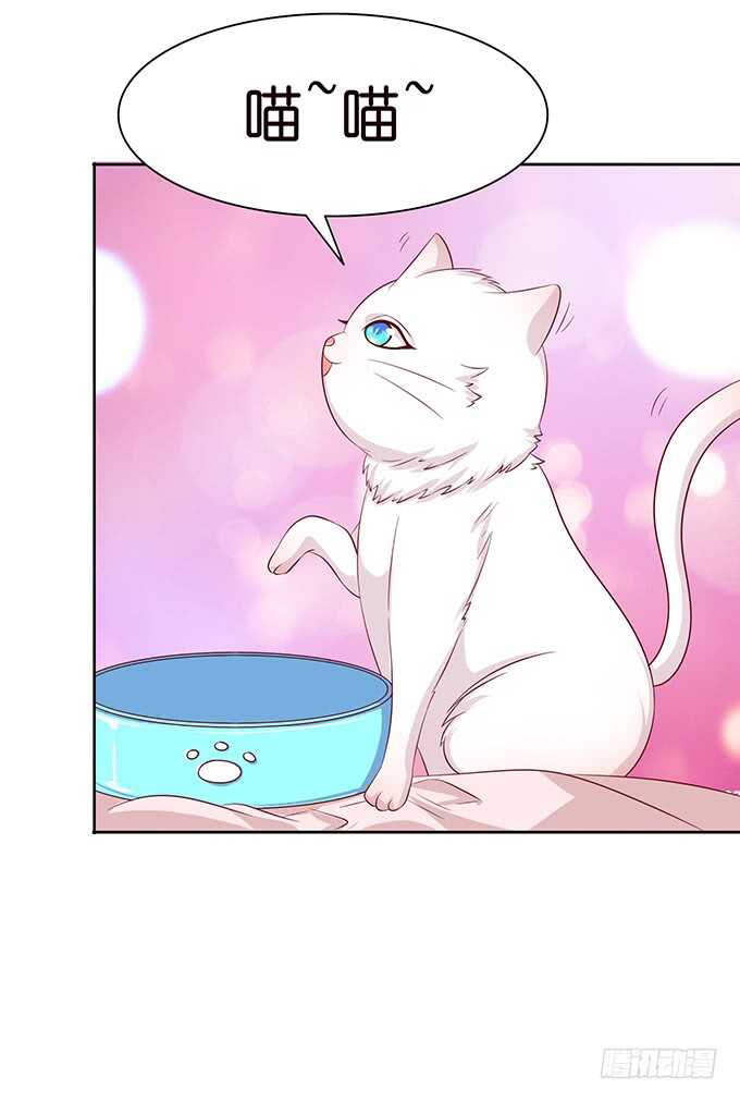 七夕特别篇(1/3)-第105话