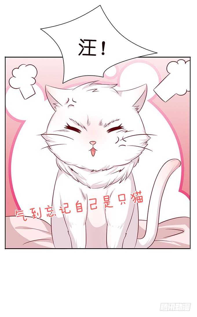 七夕特别篇(1/3)-第105话