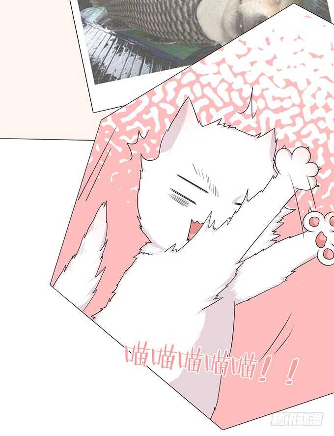 电影的约会(1/3)-第127话