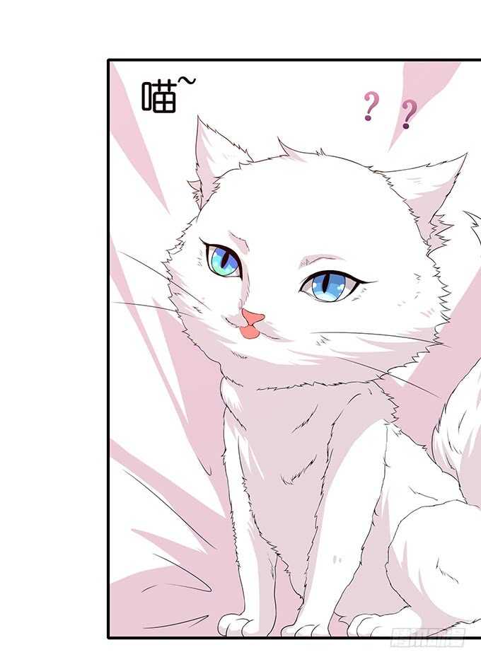 转身的相遇(1/2)-第139话