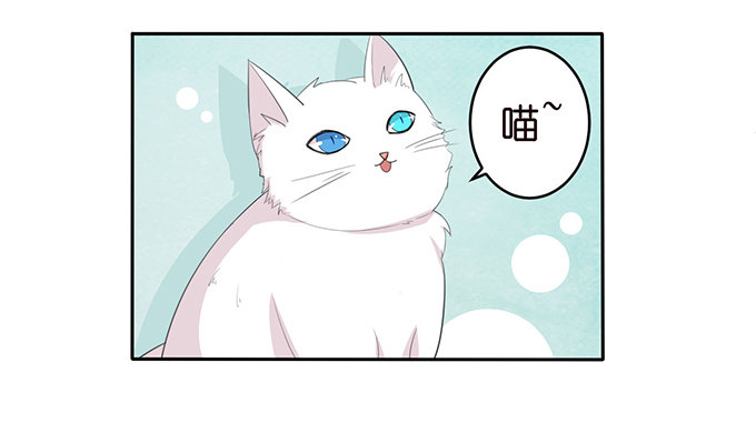 猫儿的名字-第47话