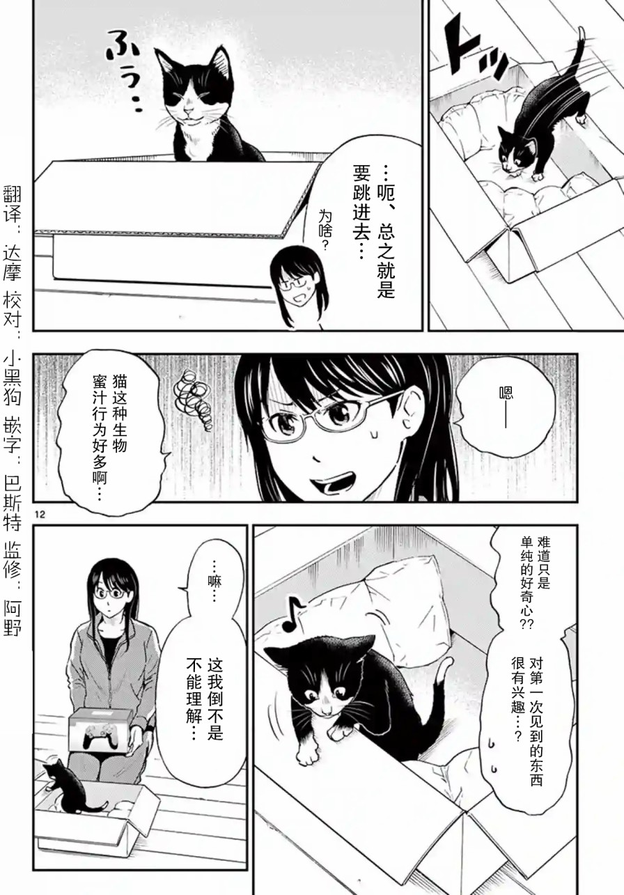 愛貓相伴的玩家小姐 - 7話 - 4