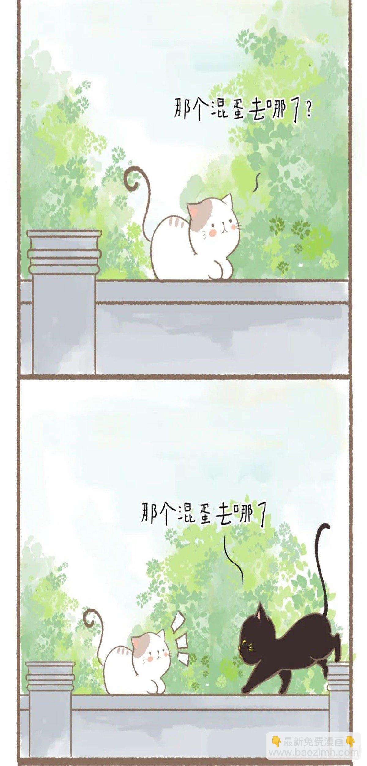 第十九章 我喜欢你-第19话