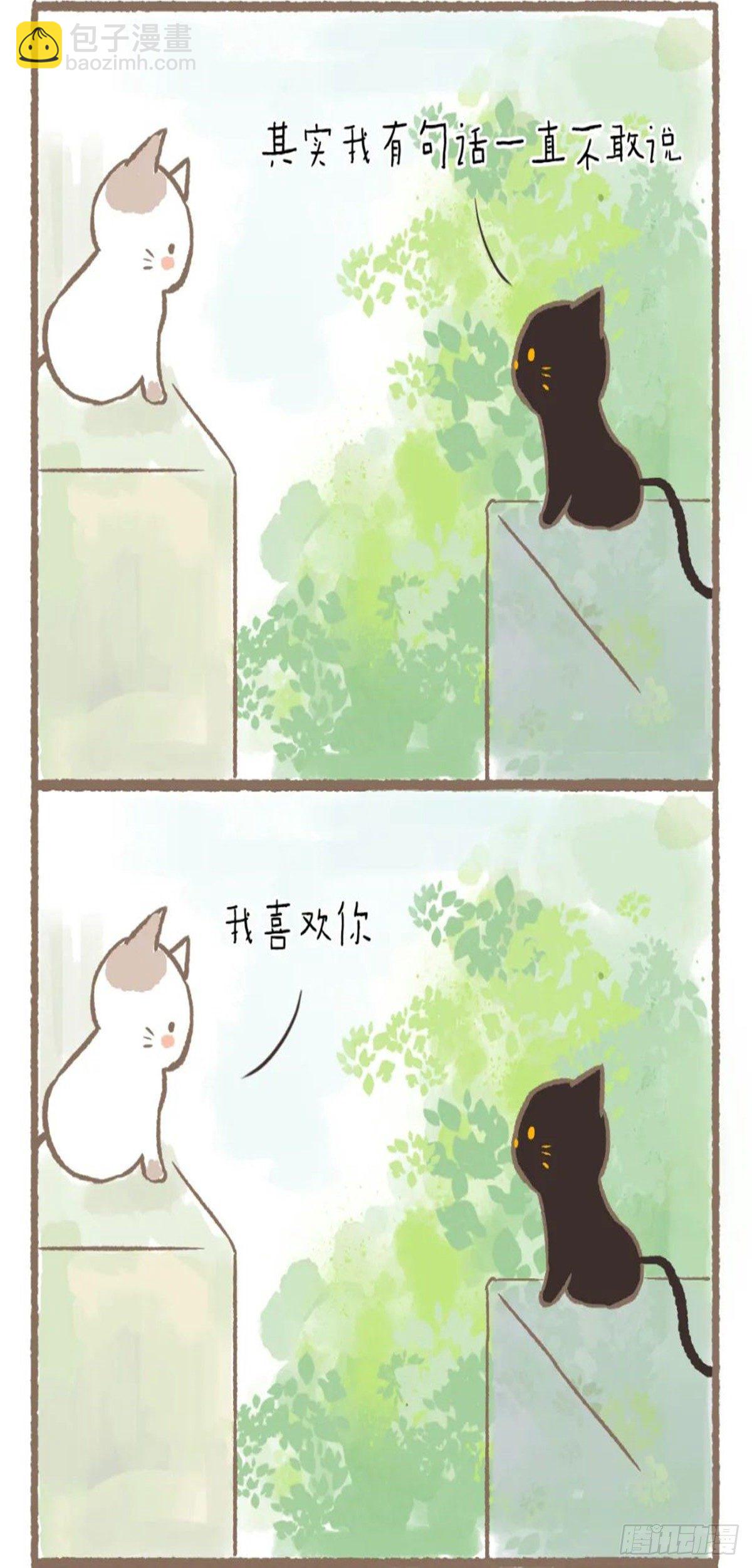 第十九章 我喜欢你-第19话