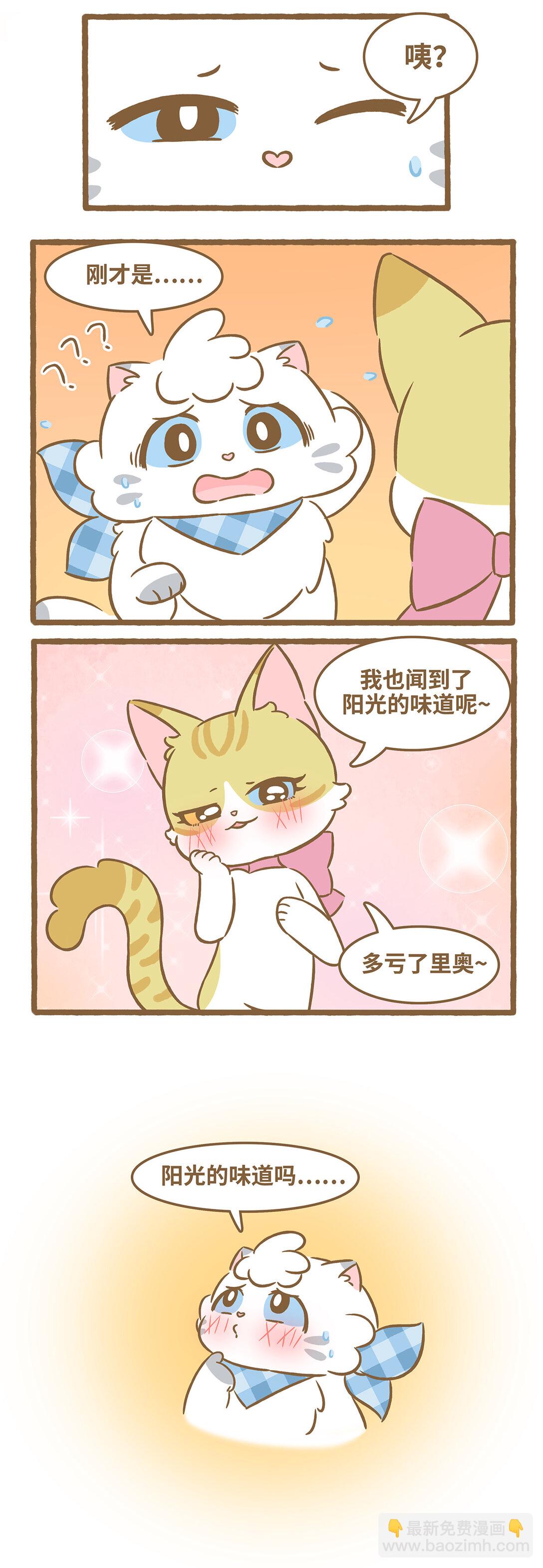 愛上我的小可愛 - 103 第103話 陽光的味道 - 1