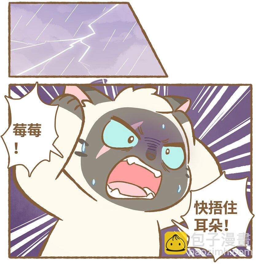 愛上我的小可愛 - 49 第49話 閃電 - 3