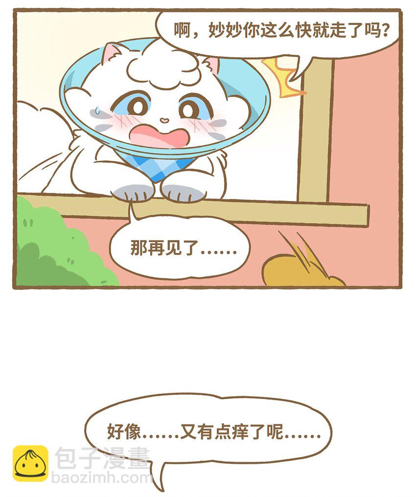 愛上我的小可愛 - 53 第53話 撓癢癢 - 4