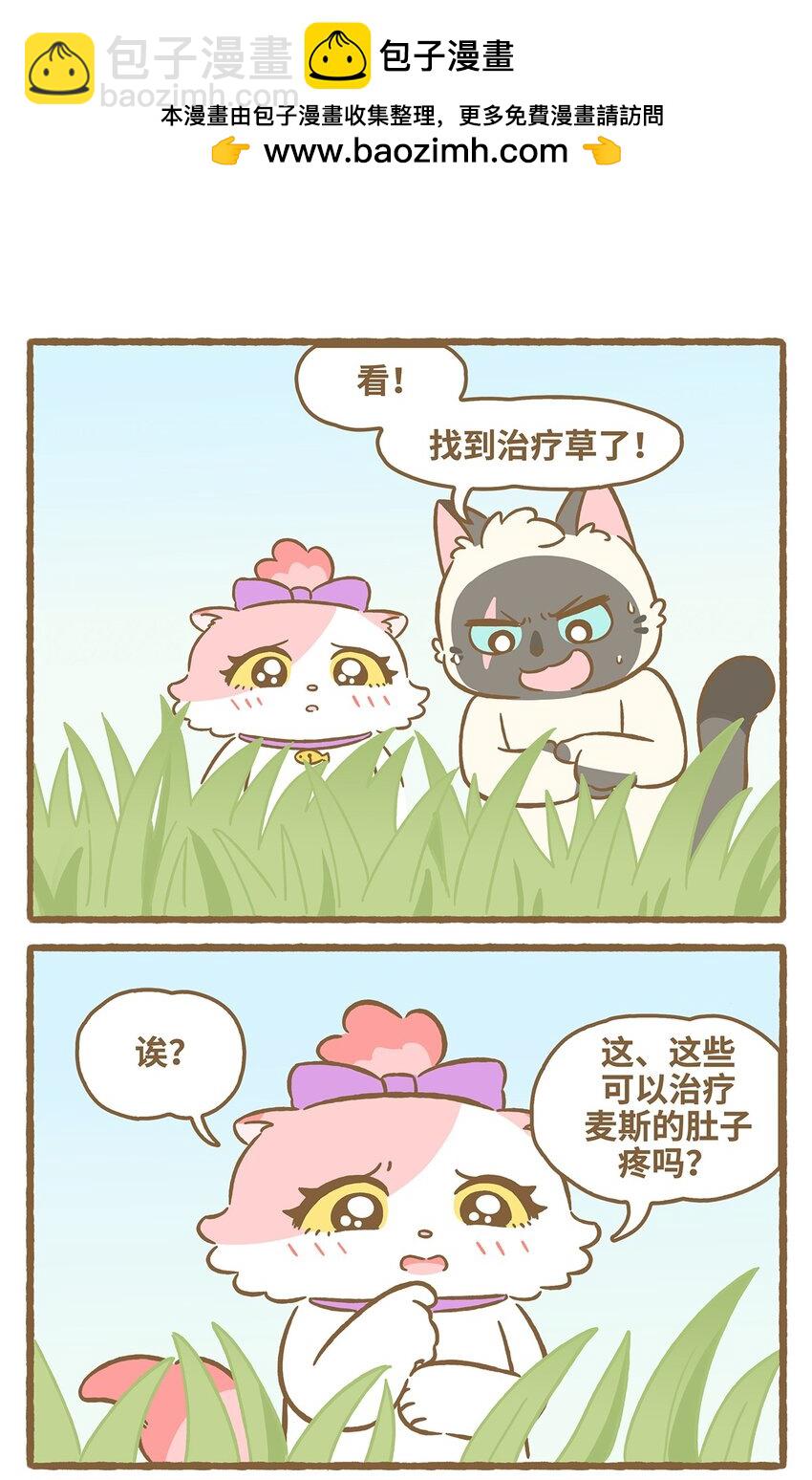 愛上我的小可愛 - 57 第57話 治療草 - 2