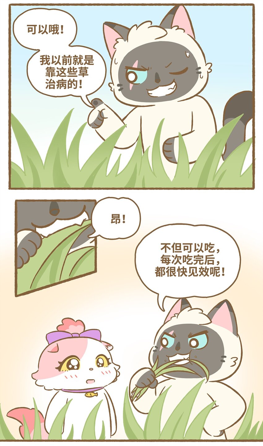 愛上我的小可愛 - 57 第57話 治療草 - 3