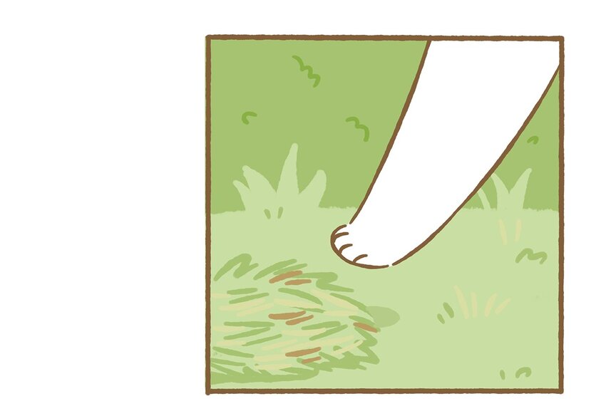 愛上我的小可愛 - 61 第61話 陷阱 - 2