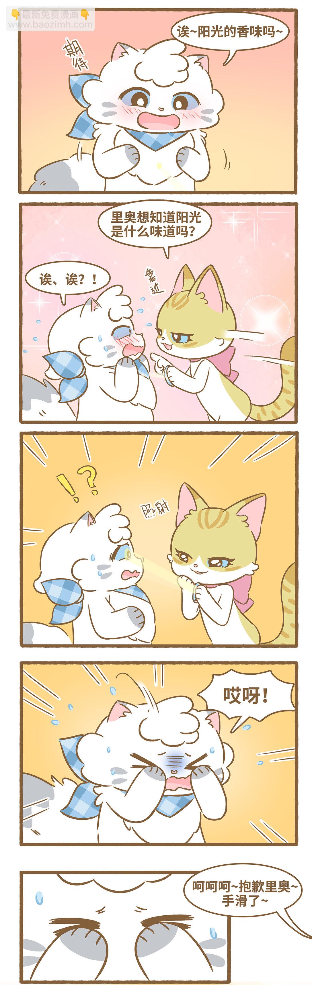 愛上我的小可愛 - 103 陽光的味道 - 2