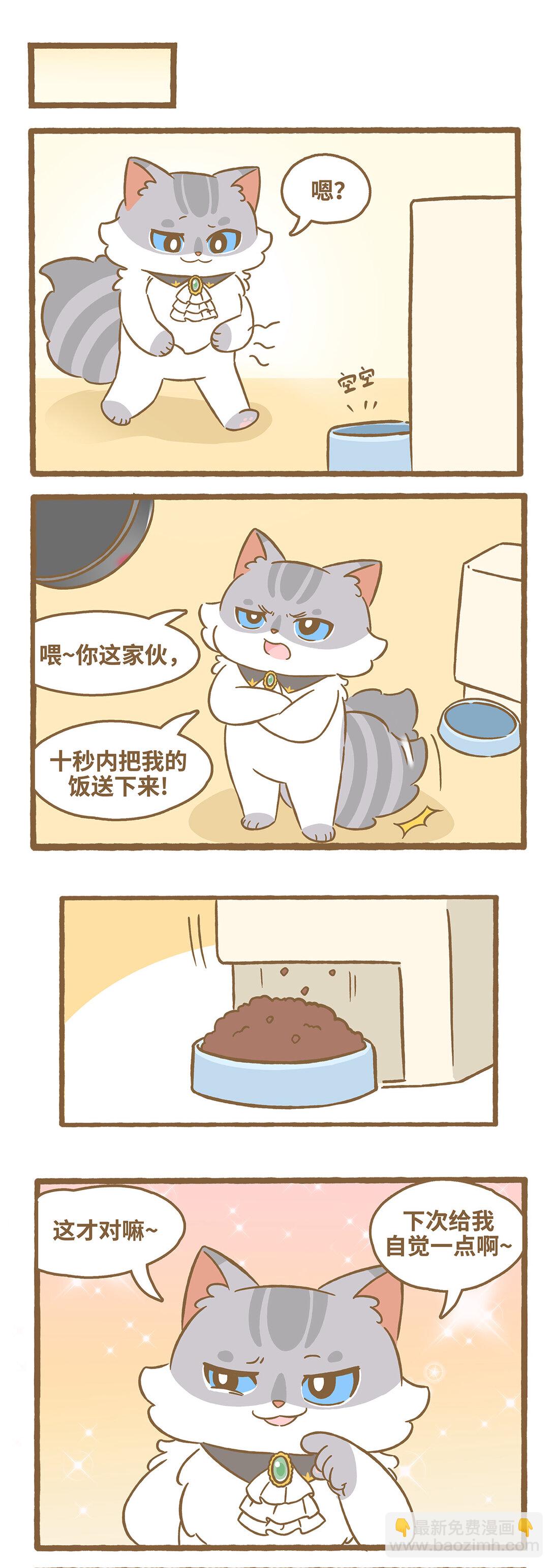 愛上我的小可愛 - 105 路卡的一天 - 3