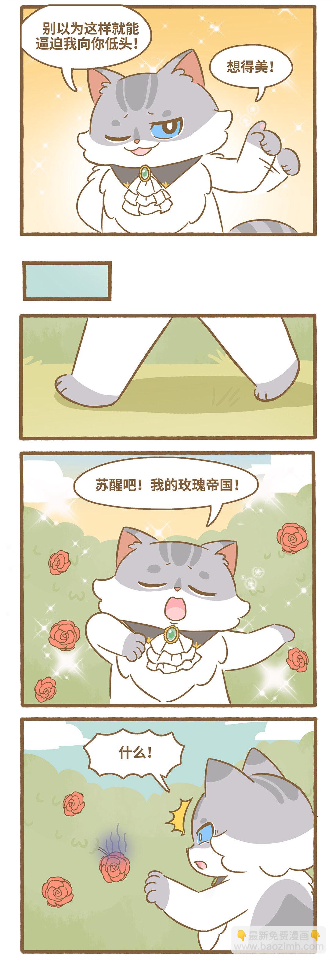 愛上我的小可愛 - 105 路卡的一天 - 2