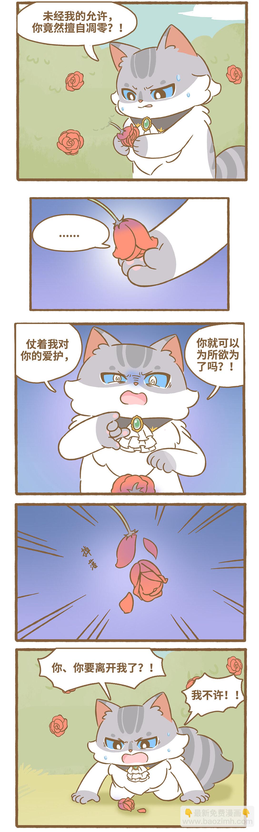 愛上我的小可愛 - 105 路卡的一天 - 3