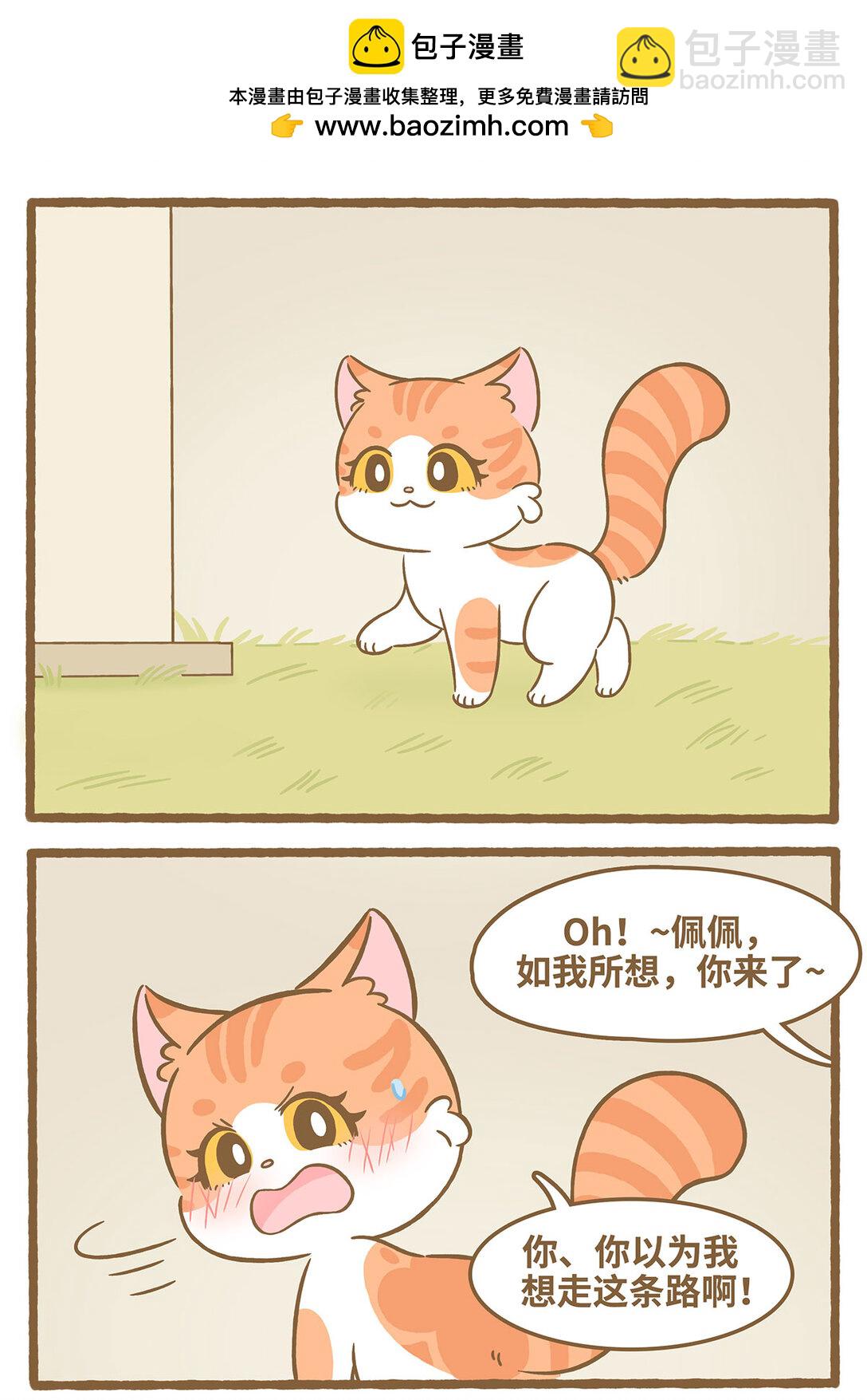 愛上我的小可愛 - 85 第85話 玫瑰 - 2