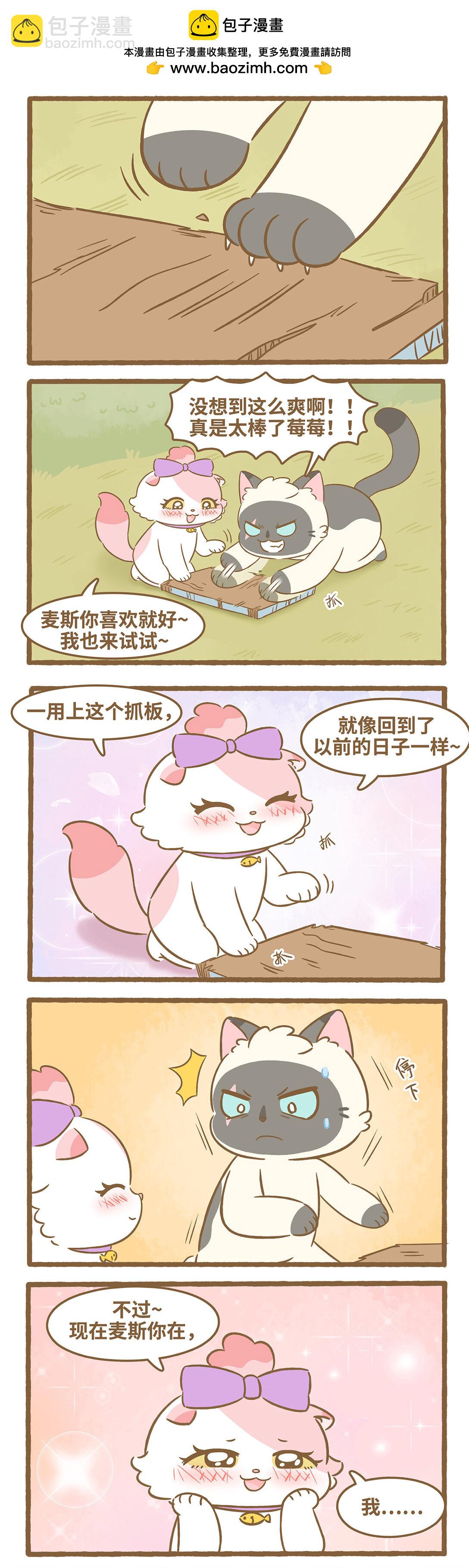 愛上我的小可愛 - 97 第97話 貓抓板 - 2