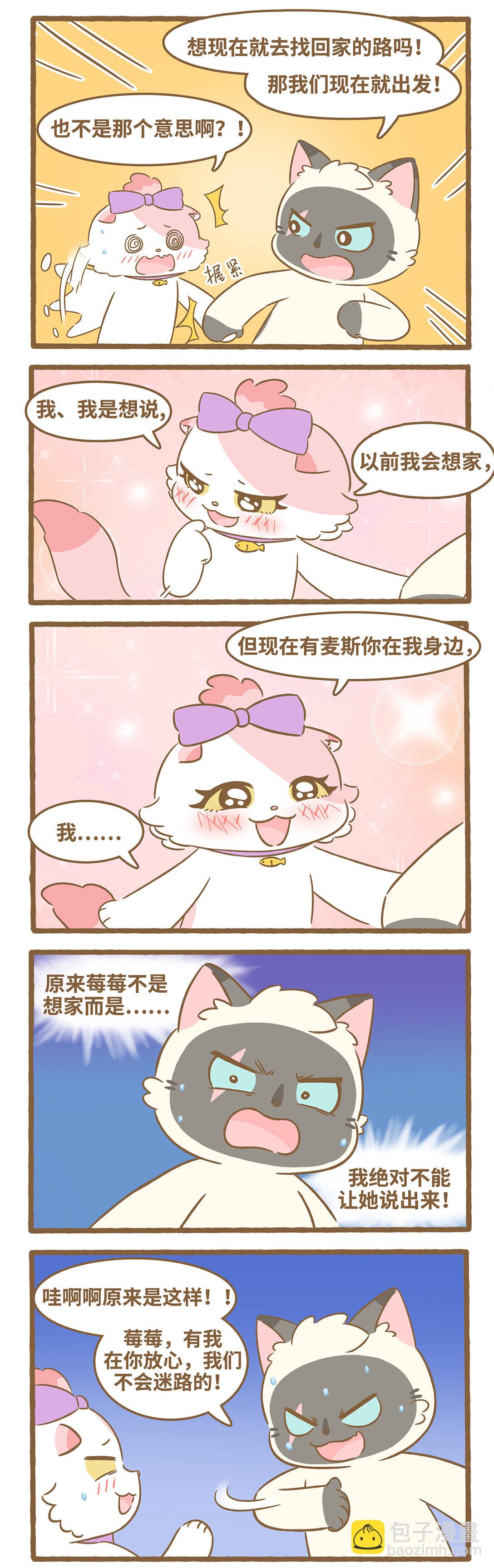 愛上我的小可愛 - 97 第97話 貓抓板 - 2