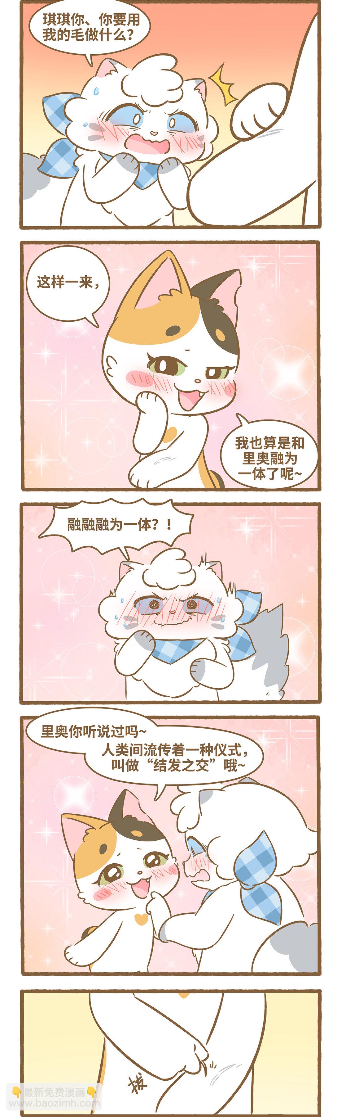 愛上我的小可愛 - 101 第101話 結髮之交 - 2