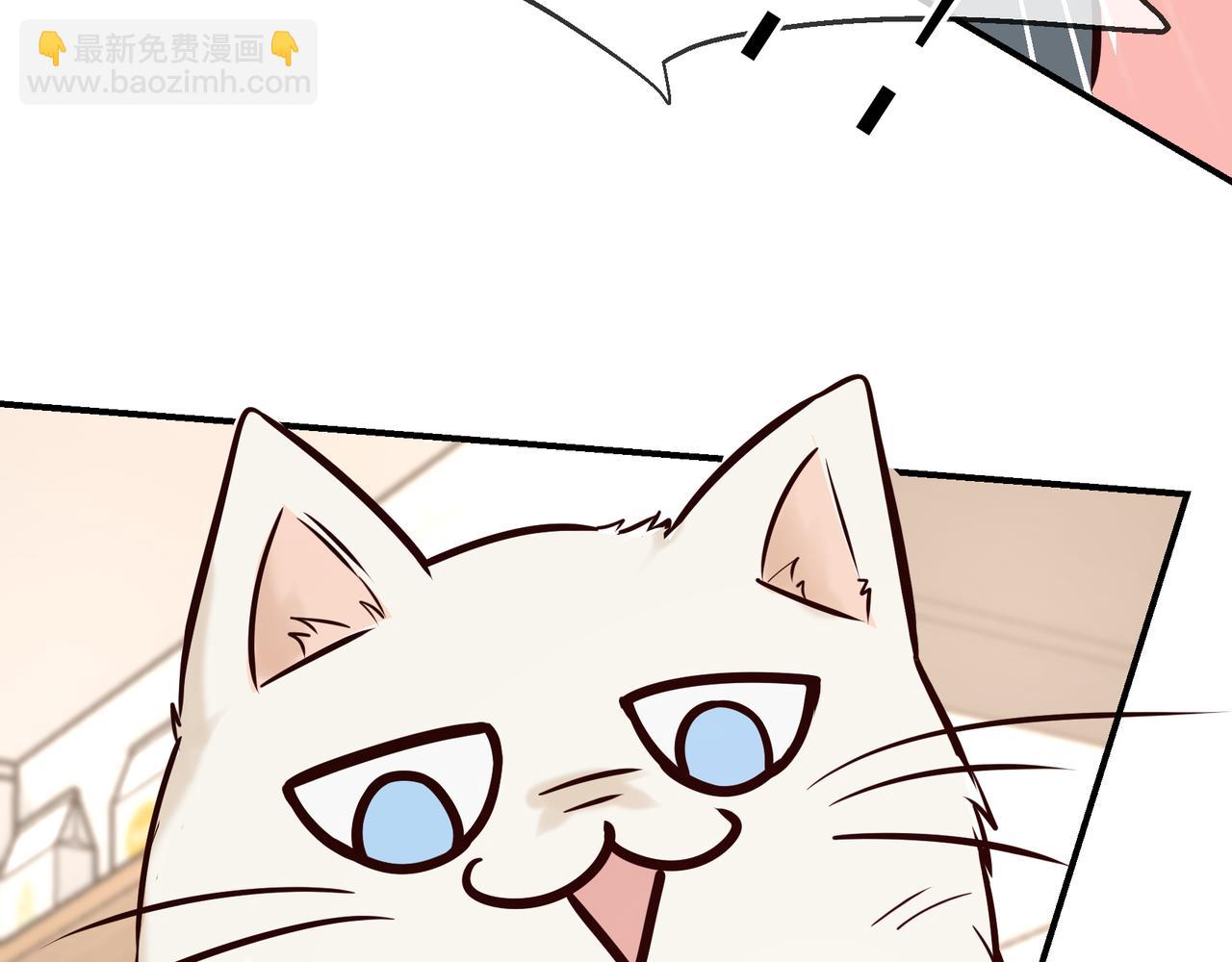 Q版小剧场 荆变猫猫的一天-第43话