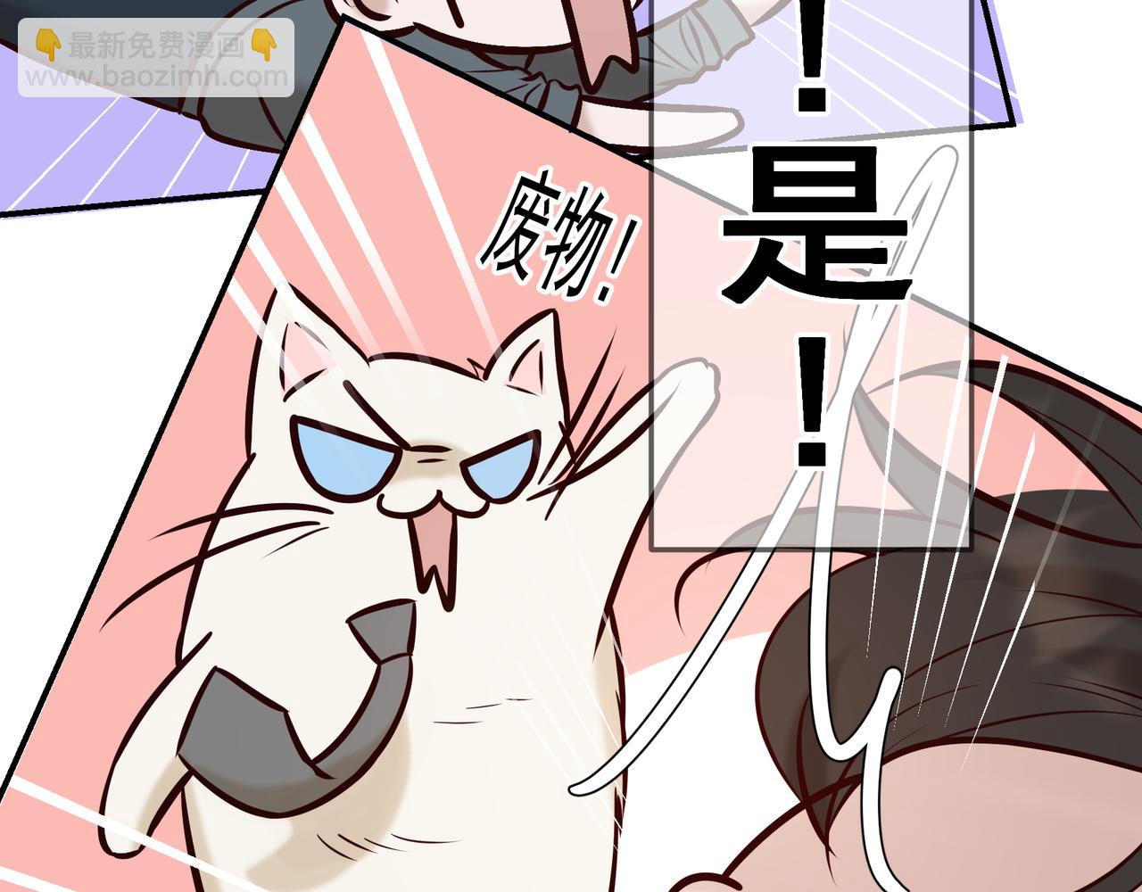 Q版小剧场 荆变猫猫的一天-第43话