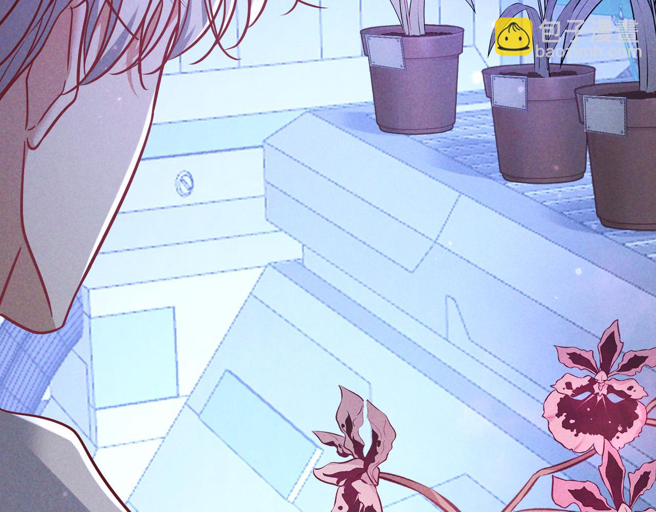 第54话 血色文心兰(1/3)-第63话