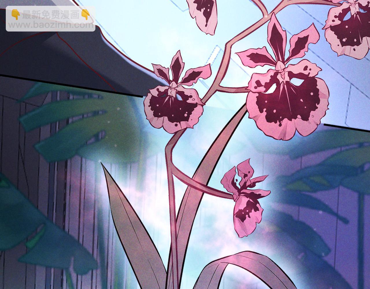 第54话 血色文心兰(1/3)-第63话