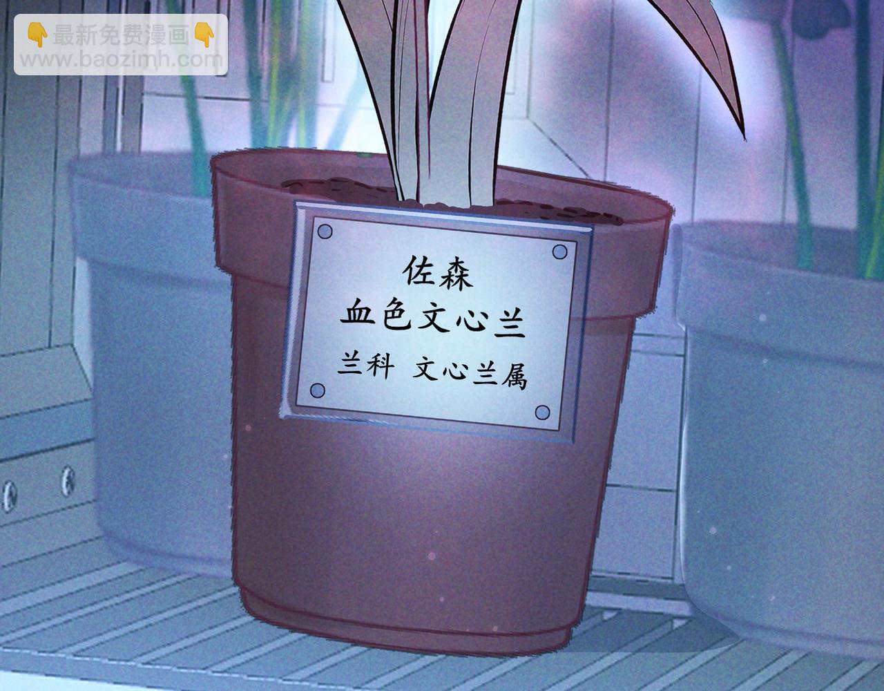 第54话 血色文心兰(1/3)-第63话