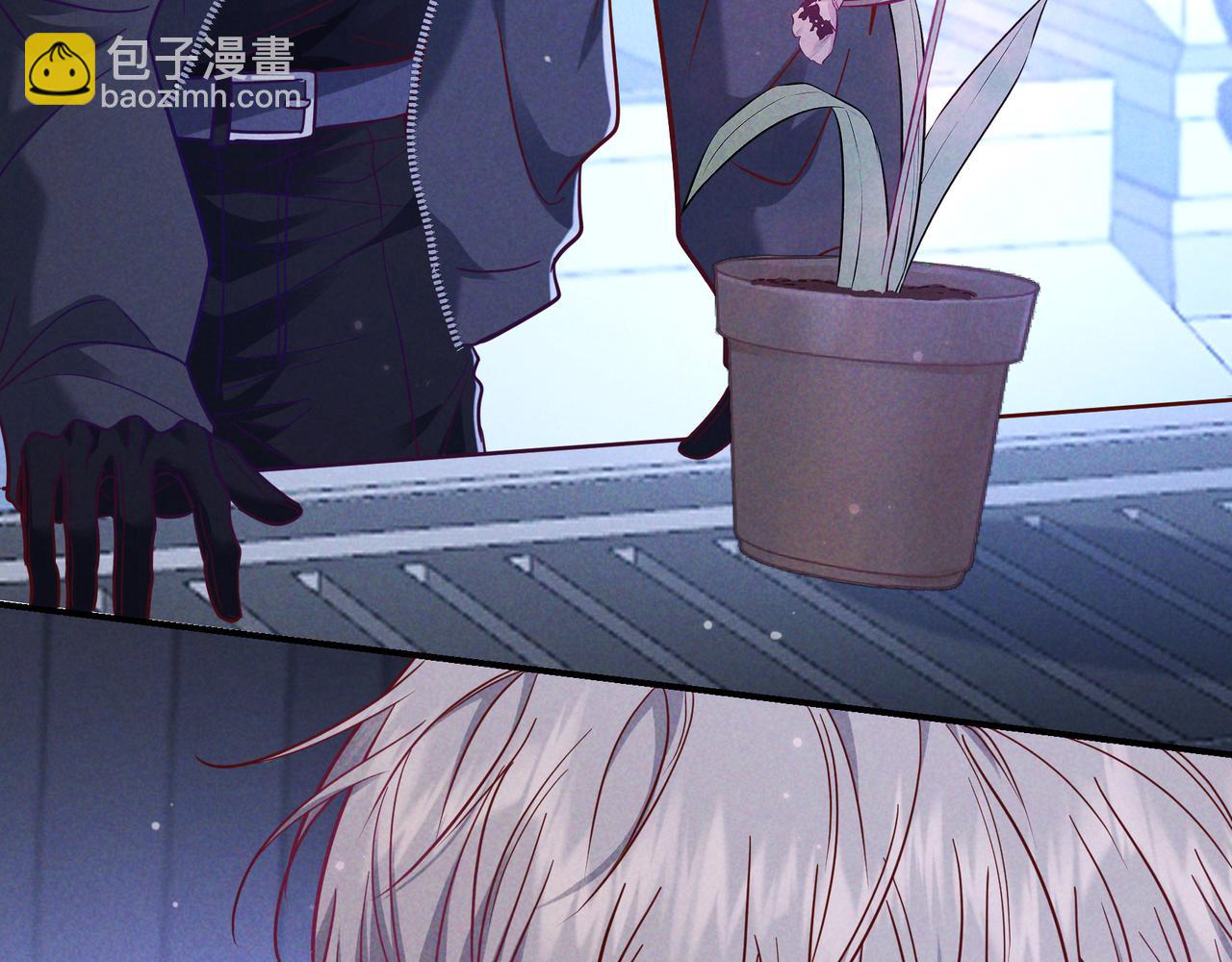 第54话 血色文心兰(1/3)-第63话