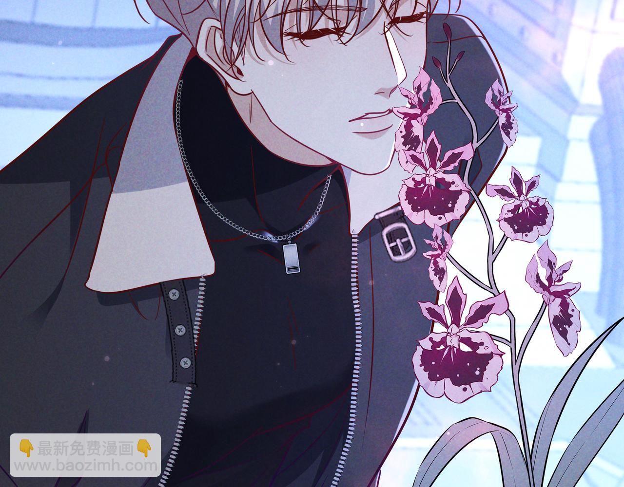 第54话 血色文心兰(1/3)-第63话