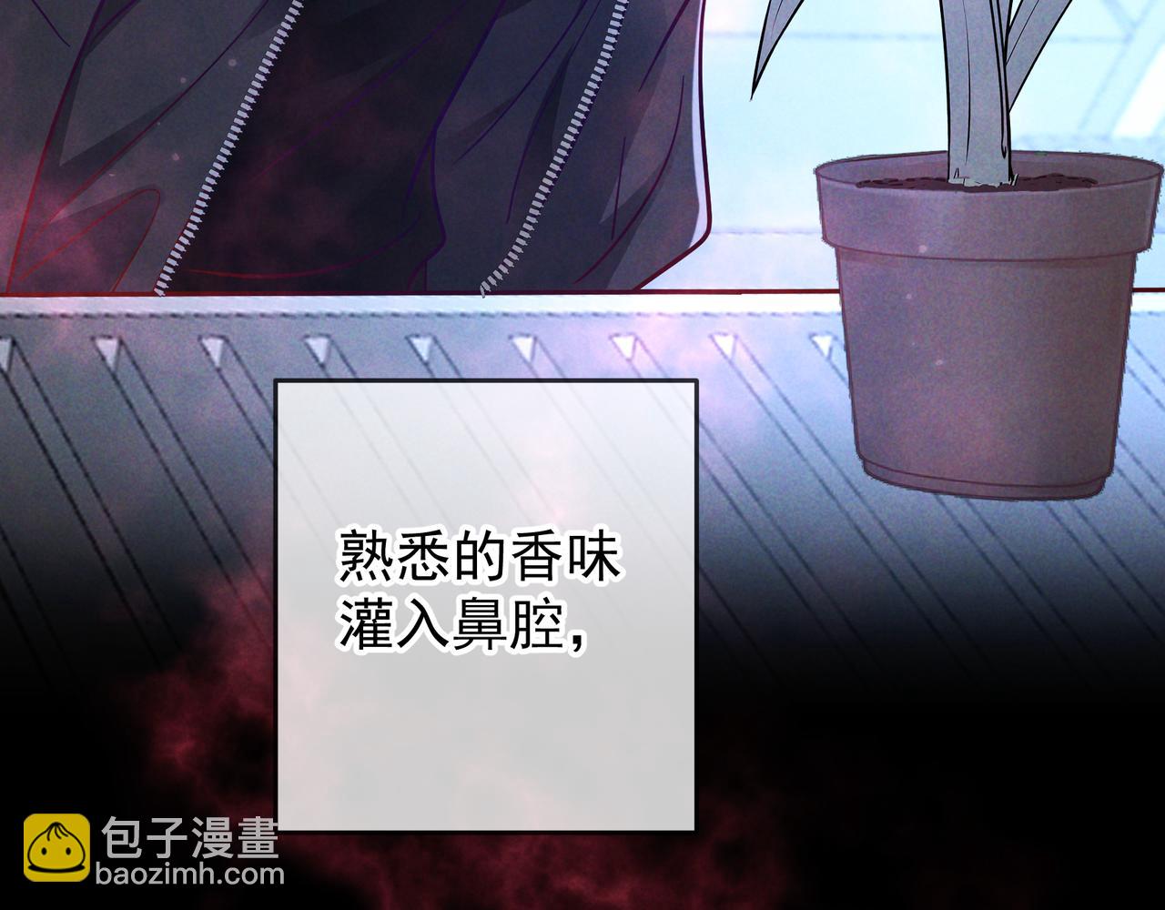 第54话 血色文心兰(1/3)-第63话