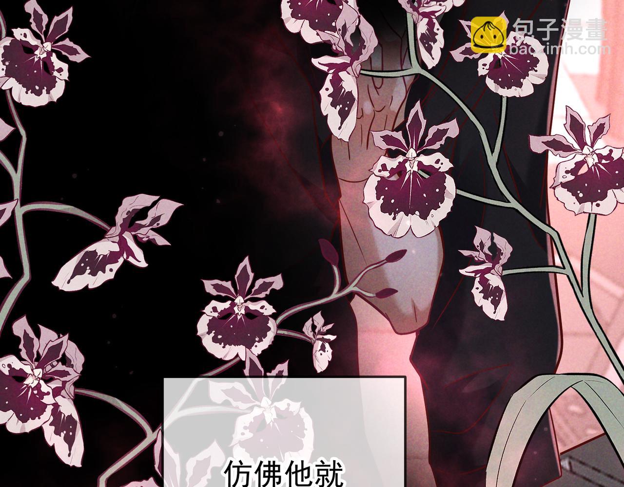 第54话 血色文心兰(1/3)-第63话