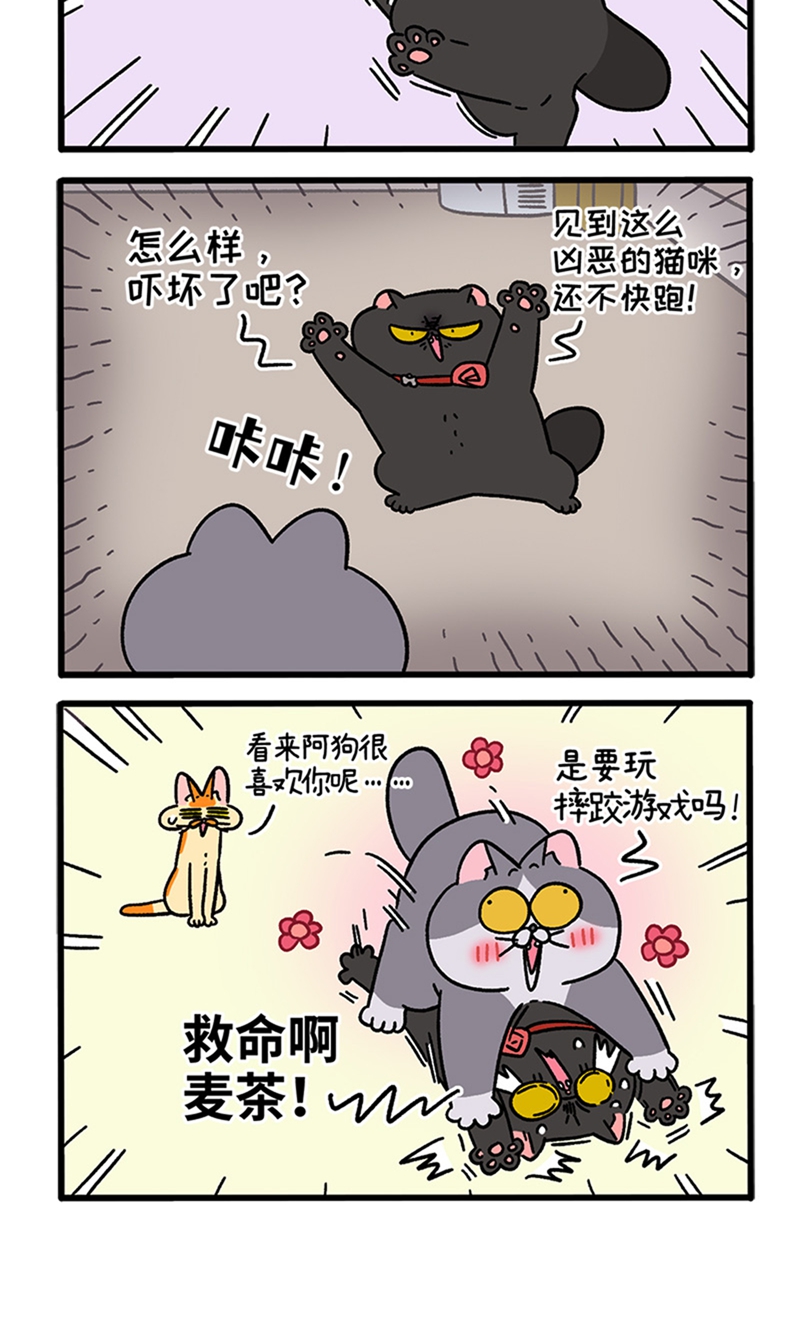 12.jpg