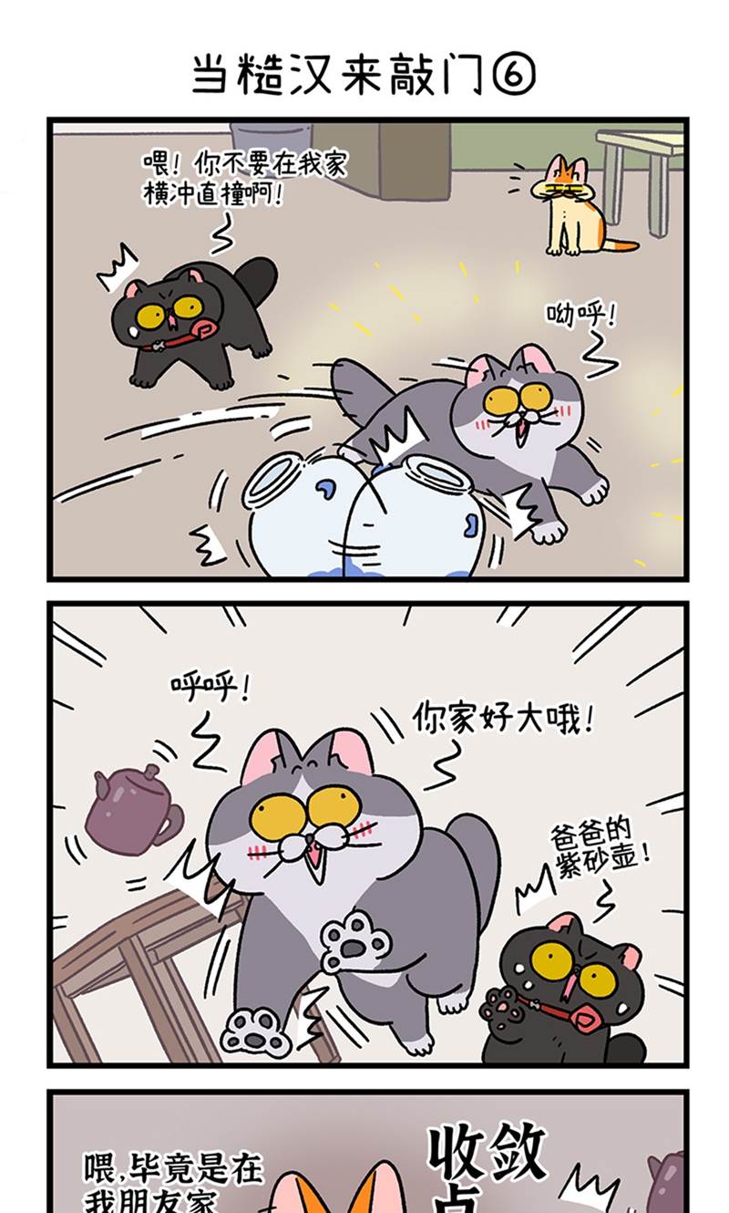 15.jpg