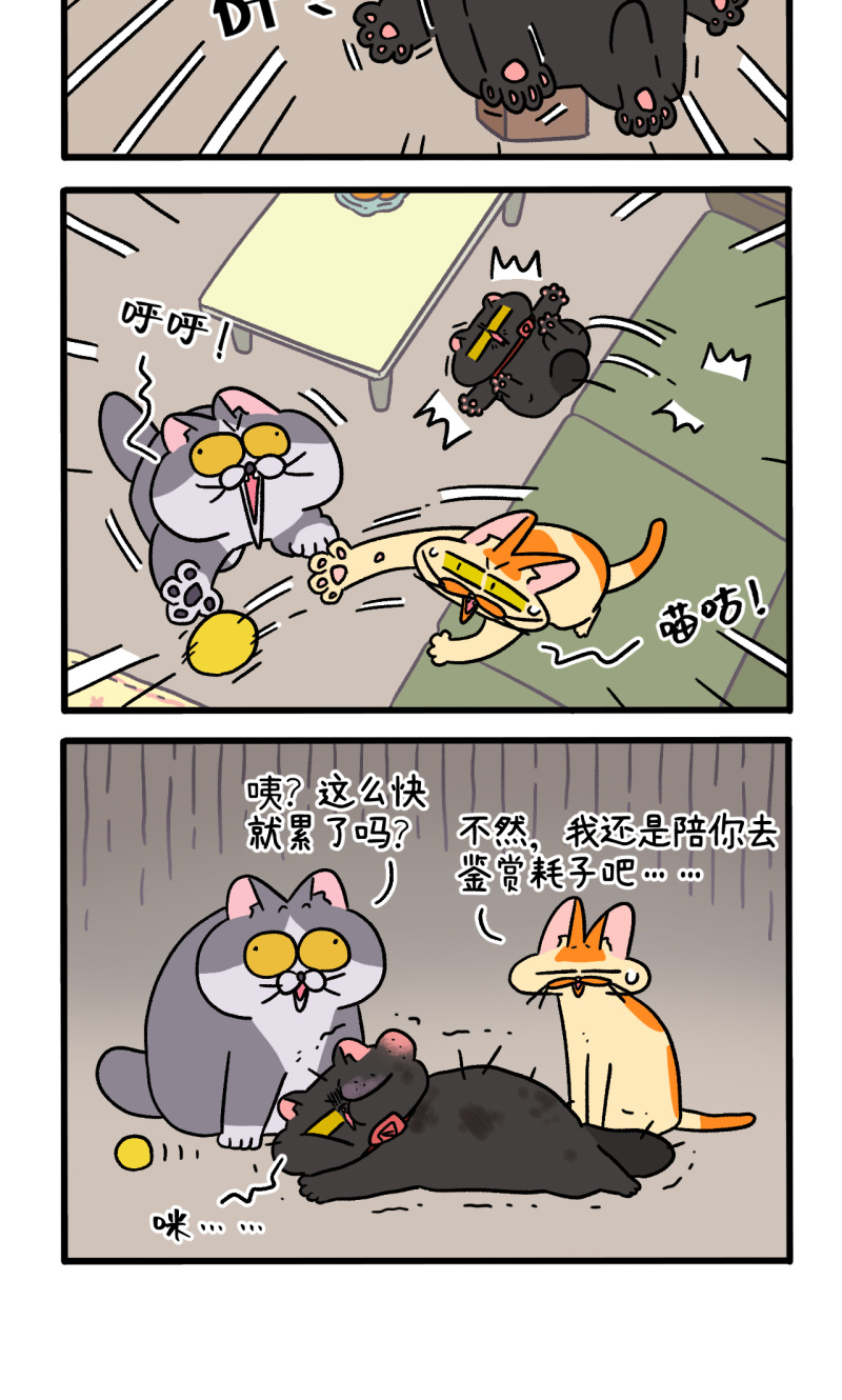 12.jpg