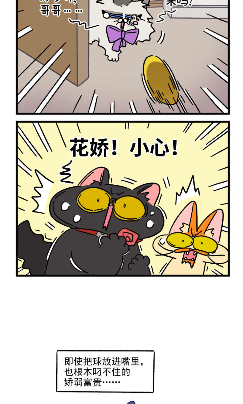 17.jpg