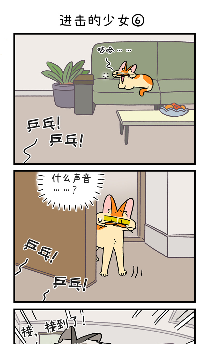 14.jpg